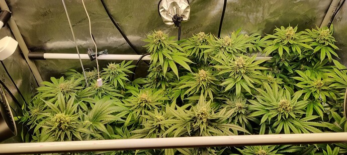 Growreport Bild 4