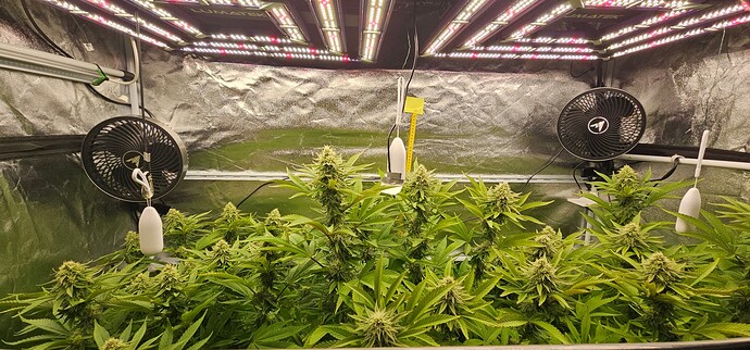 Growreport Bild 18