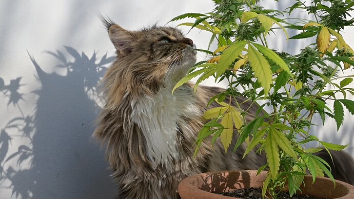 Growreport Bild 3