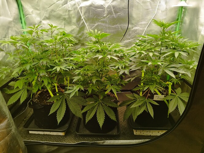 Growreport Bild 10