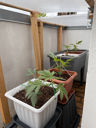 Growreport Bild 48