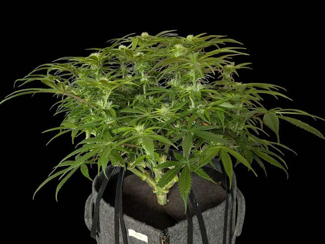 Growreport Bild 10