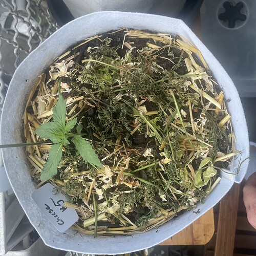 Growreport Bild 11