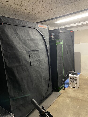 Growreport Bild 5