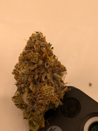 PXL_20240811_093025662