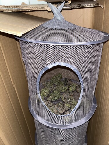 Growreport Bild 1