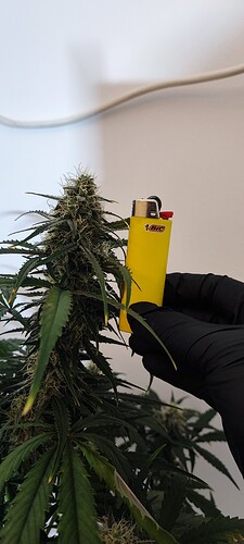 Growreport Bild 22