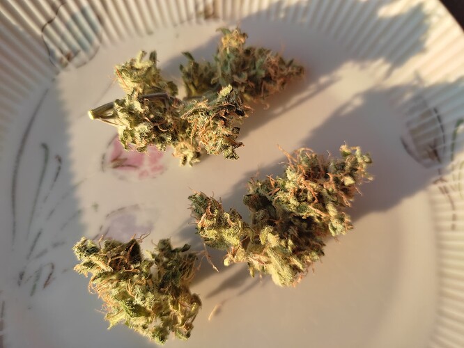 Growreport Bild 59