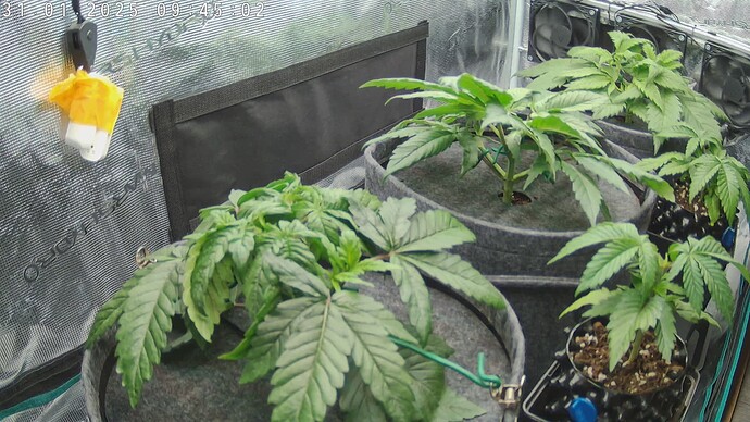 Growreport Bild 19