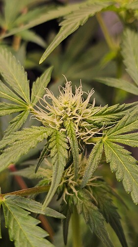 Growreport Bild 12