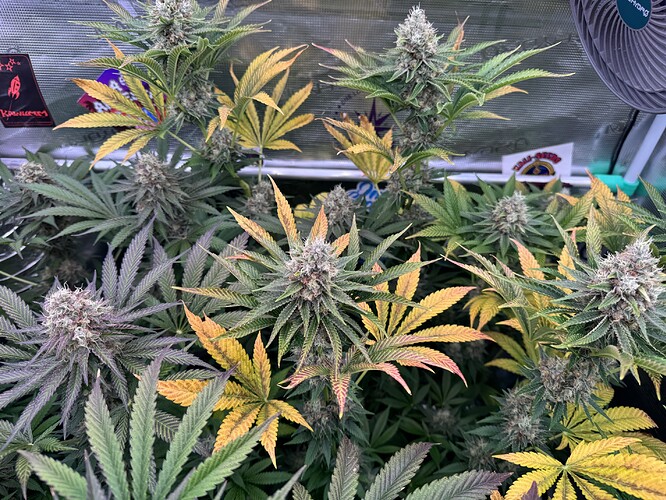Growreport Bild 14