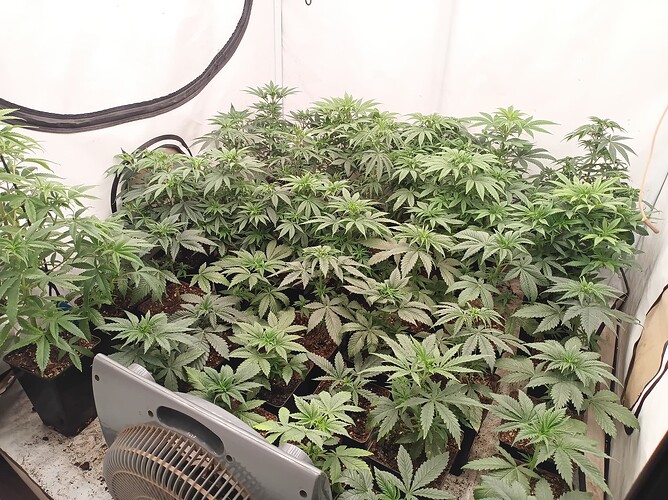 Growreport Bild 12