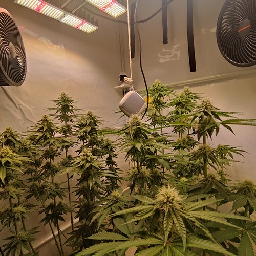 Growreport Bild 12