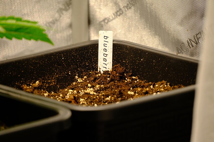 Growreport Bild 10