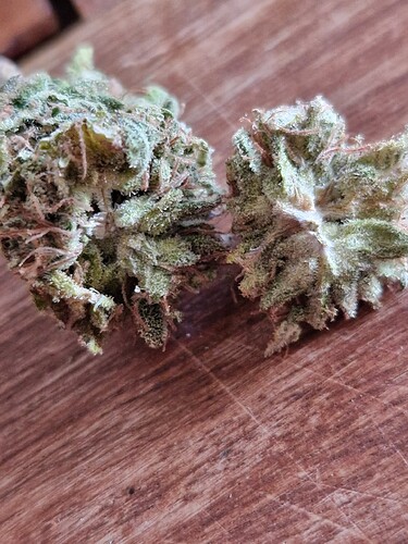 Growreport Bild 13