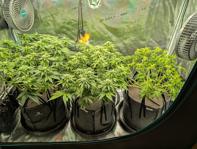 Growreport Bild 9