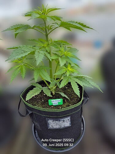 Growreport Bild 10