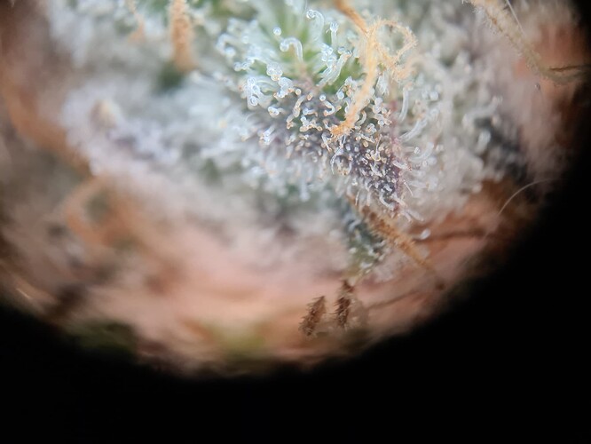 Growreport Bild 24