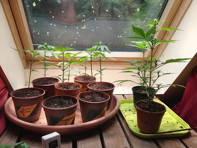 Grow25_0526_07