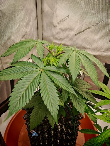 Growreport Bild 24