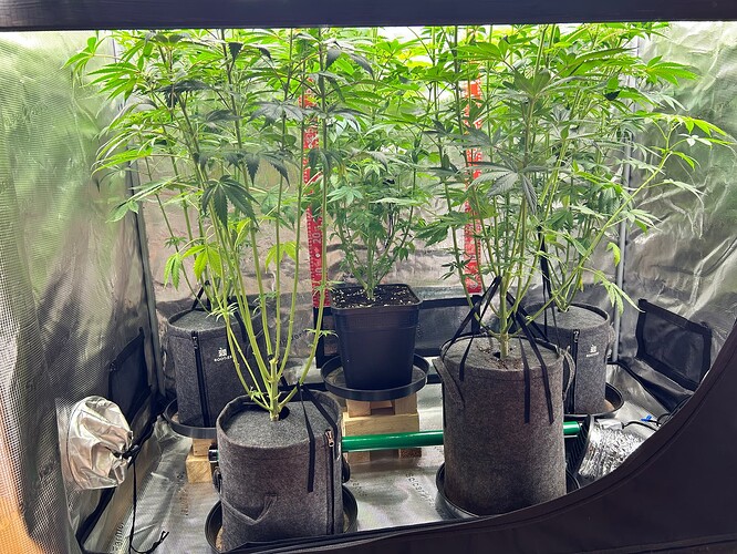 Growreport Bild 5