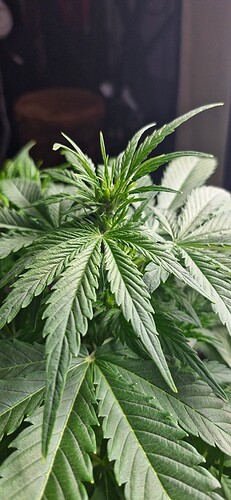 Growreport Bild 15