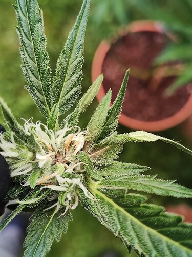 Growreport Bild 11
