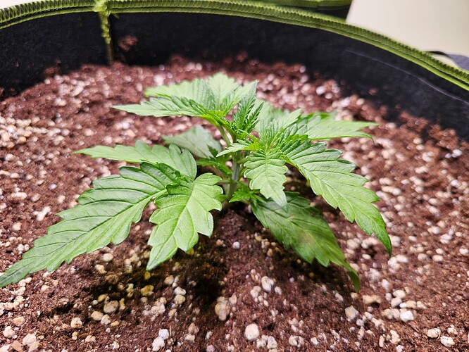 Growreport Bild 9