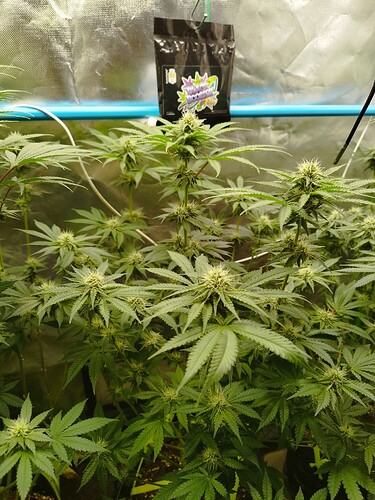 Growreport Bild 10