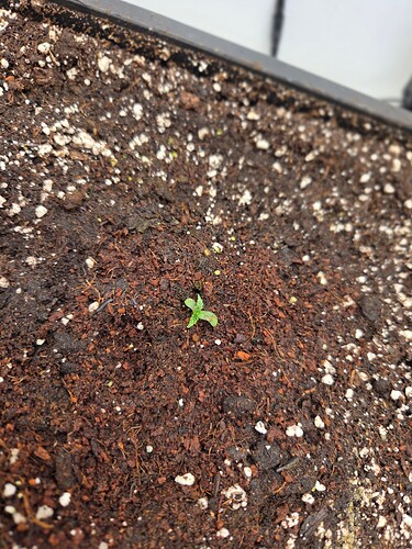 Growreport Bild 14