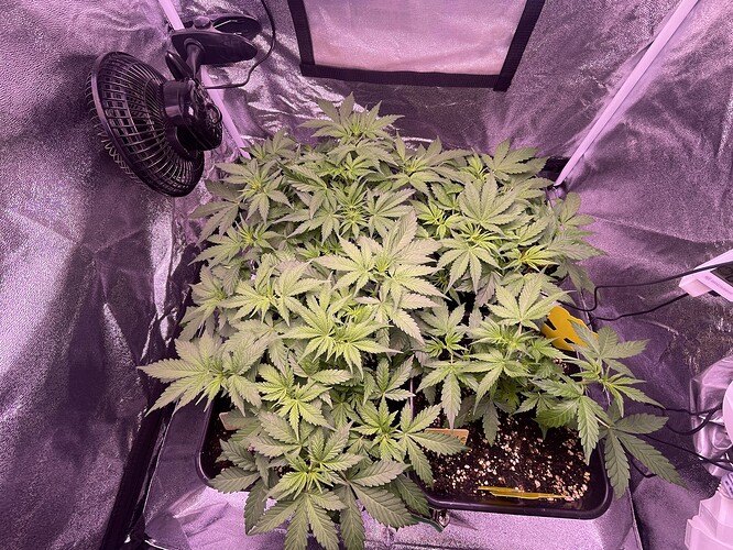 Growreport Bild 6
