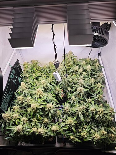 MVIMG_20251116_203614