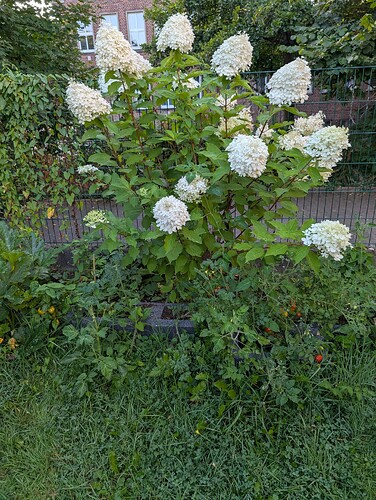 Growreport Bild 16