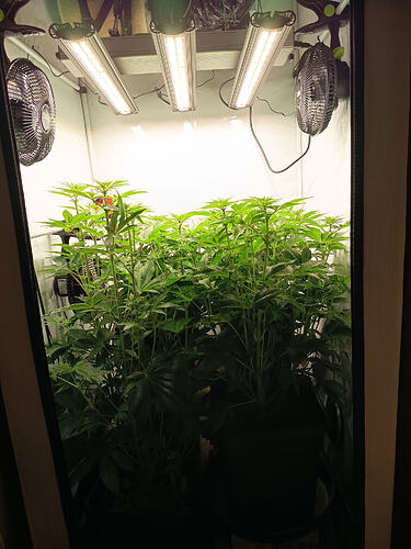 Growreport Bild 12