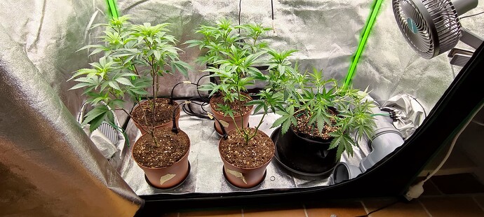 Growreport Bild 11