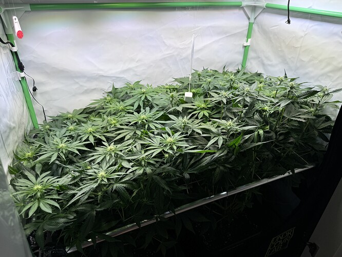 Growreport Bild 20