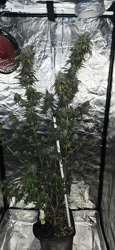 Growreport Bild 57