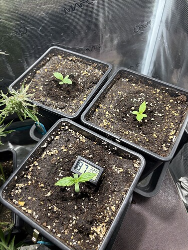 Growreport Bild 11
