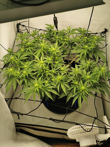 Growreport Bild 2