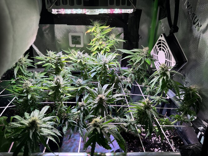 Growreport Bild 2