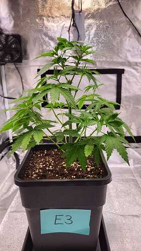 Growreport Bild 14