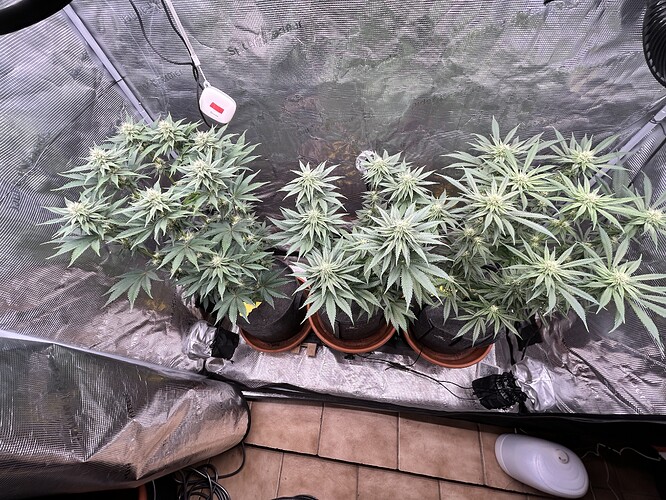 Growreport Bild 8