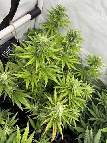 Growreport Bild 11