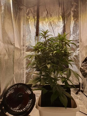 signal-2025-06-01-151358_003