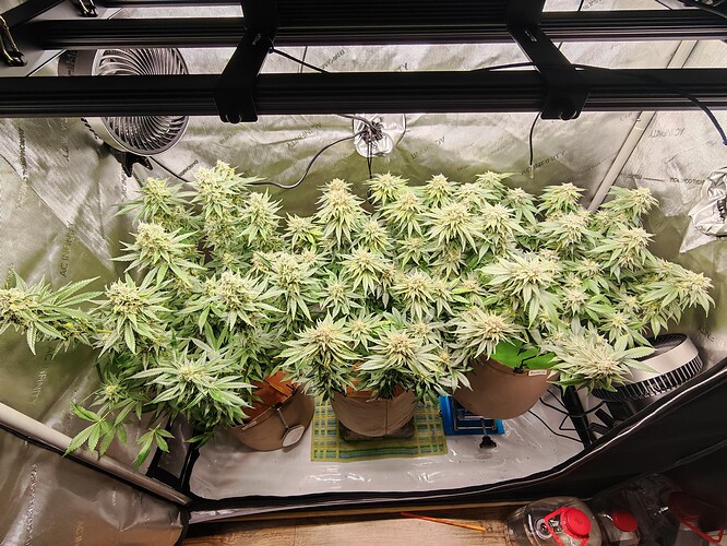 Growreport Bild 10