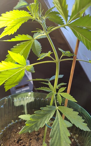 Growreport Bild 14