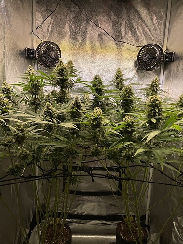 Growreport Bild 2