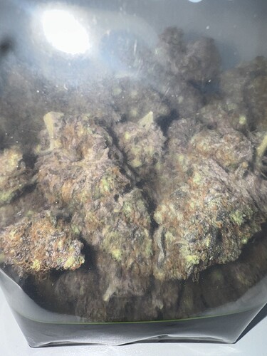 Growreport Bild 50