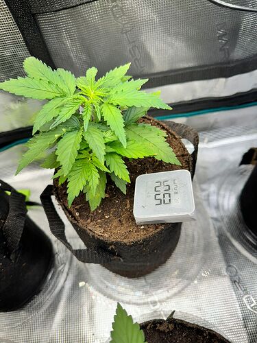 WhatsApp Image 2024-04-14 at 19.56.04