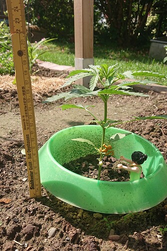 Growreport Bild 8